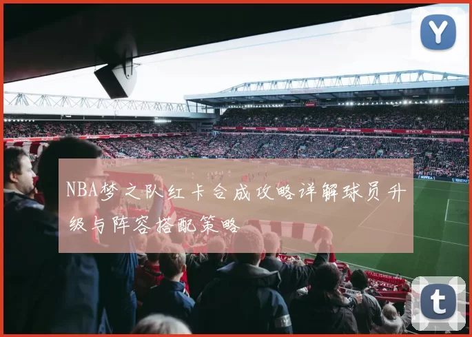 NBA梦之队红卡合成攻略详解球员升级与阵容搭配策略
