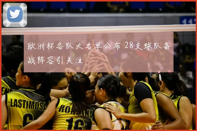 欧洲杯各队大名单公布 28支球队备战阵容引关注