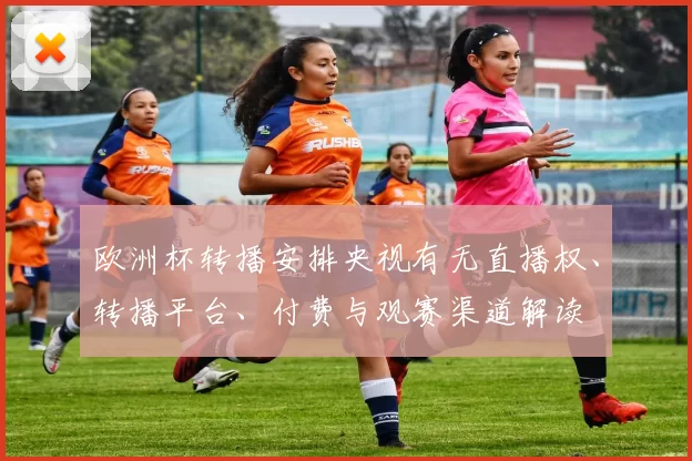 欧洲杯转播安排央视有无直播权、转播平台、付费与观赛渠道解读