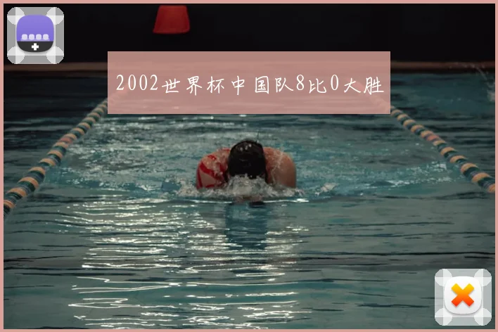 2002世界杯中国队8比0大胜