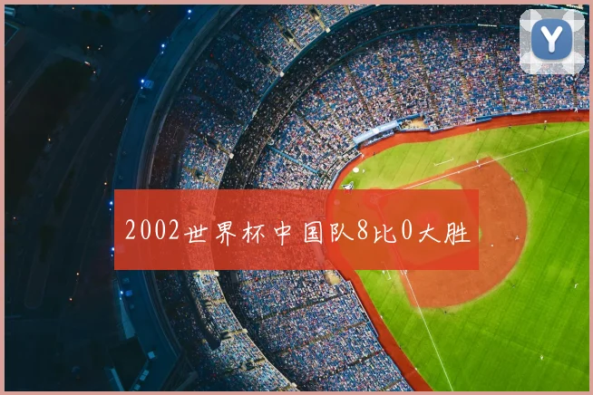 2002世界杯中国队8比0大胜